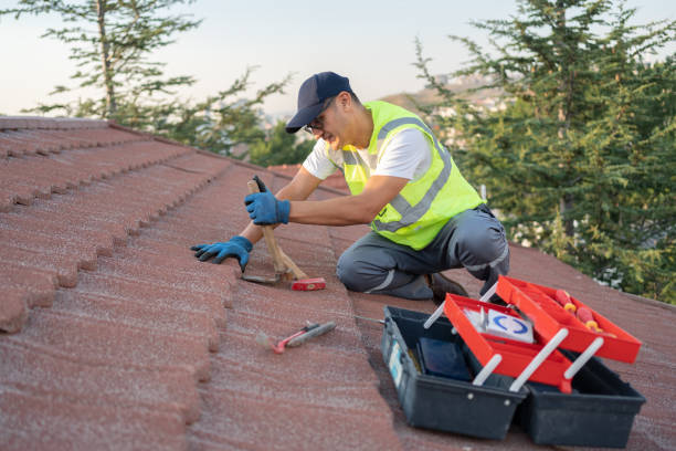 Best Shingle Roofing Installation  in USA